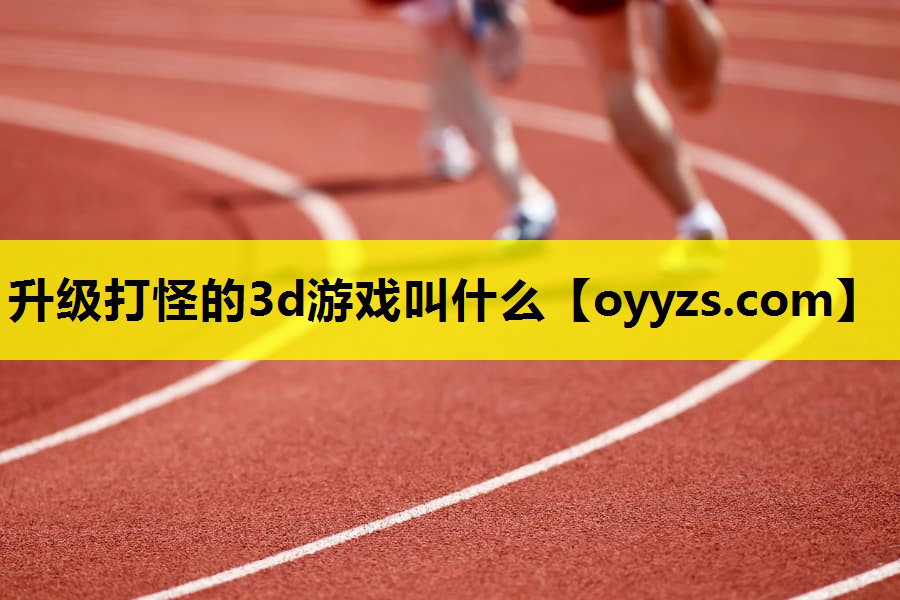 升级打怪的3d游戏叫什么