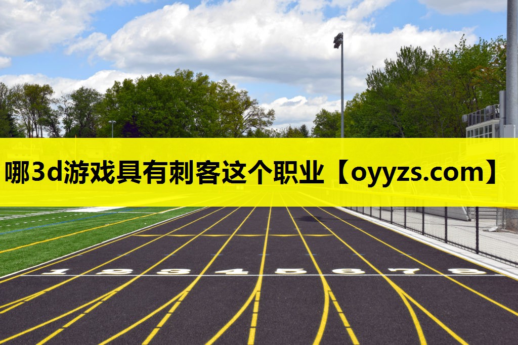 哪3d游戏具有刺客这个职业