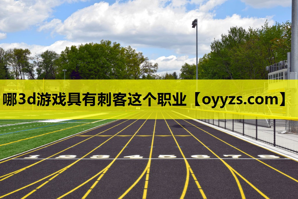 哪3d游戏具有刺客这个职业